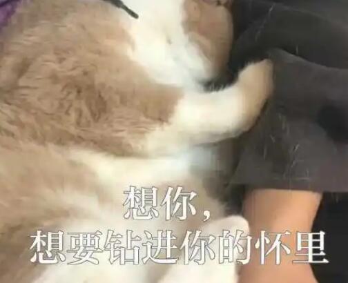 逗男朋友开心的小套路