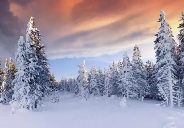 描写雪景的句子文案