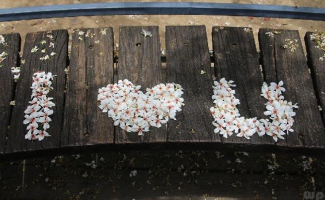 刚分手说说伤感句子文案