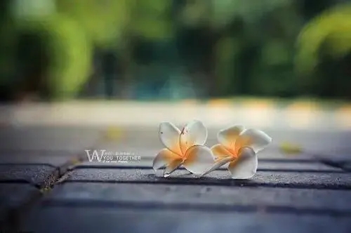 卖衣服发朋友圈的精美句子文案