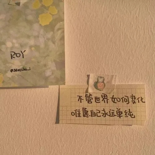 关于成长的句子文案