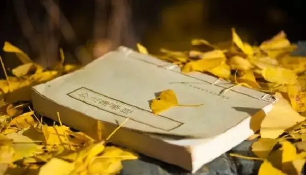 最亲的人伤我最深语录文案