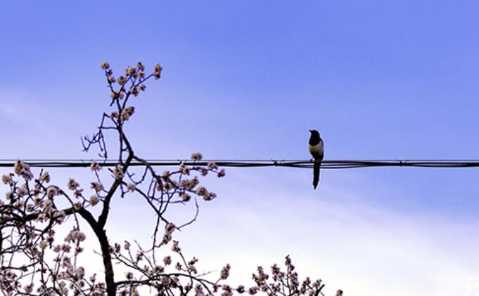 好词好句文案好段摘抄作者
