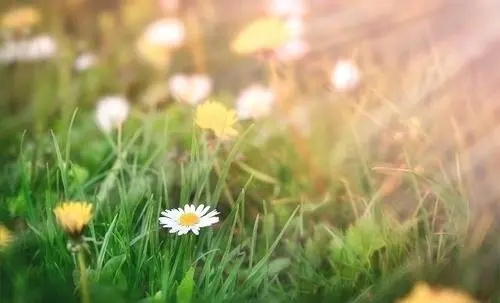 阳光暖心的句子文案简短