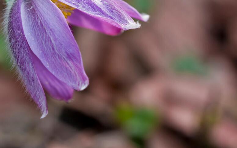 唯美励志经典简短句子文案