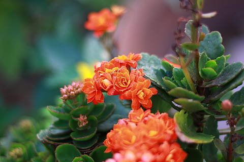 付出要给值得的人句子文案