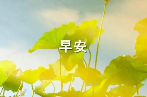 早安问候语正能量