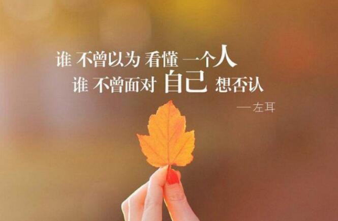 一句你忙吧伤感说说文案