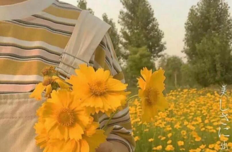 温柔干净的短句