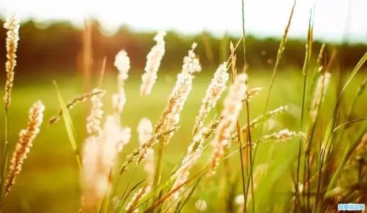 累并充实的句子文案