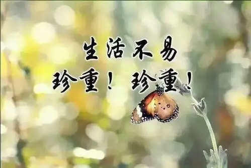 上帝的话语发朋友圈