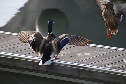新婚快乐的祝福语