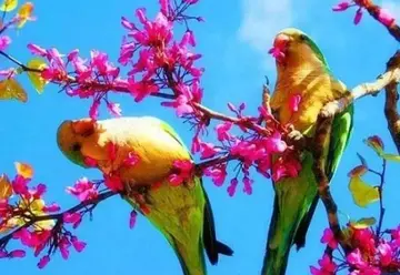 早上好的问候语10字