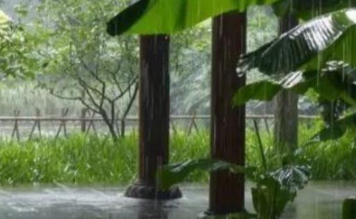 听风看雨的诗句文案