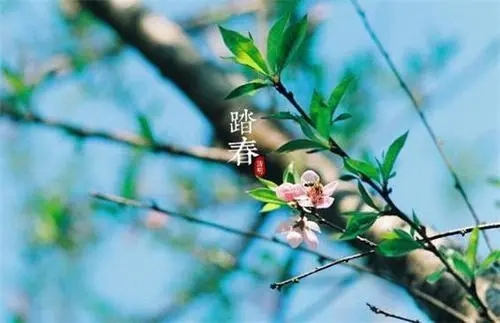 清明思念亲人伤心句子文案