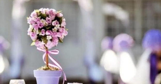 关于努力的好句文案摘抄