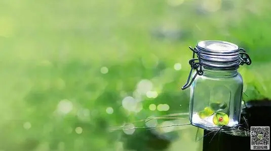 寻找能组什么句子文案