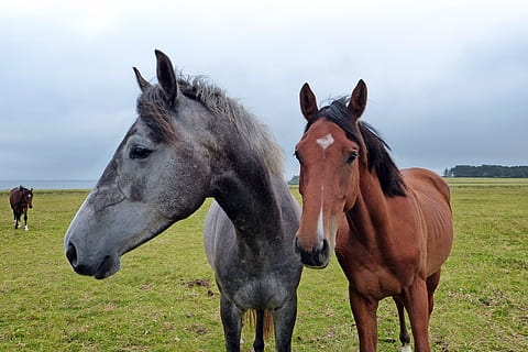 搭讪的具体句子文案