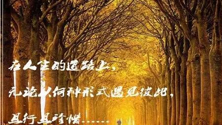 二十年友情永存的句子文案霸气