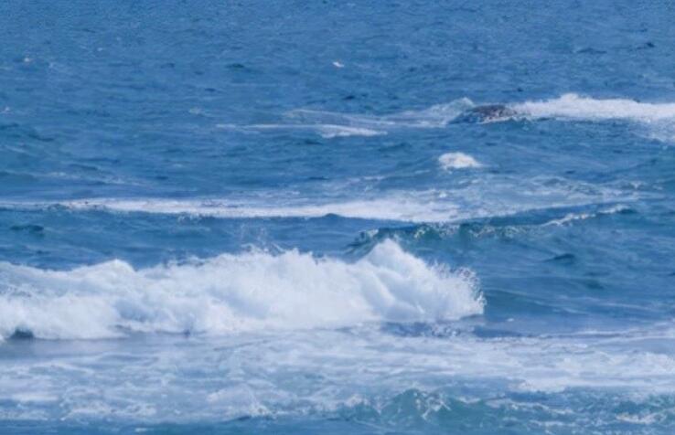 高兴的心情写一段话