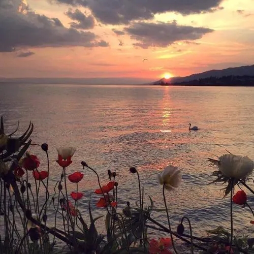 关于夕阳的唯美文案