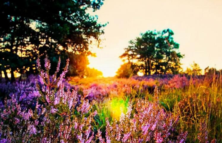 一个人的的伤痛的句子文案