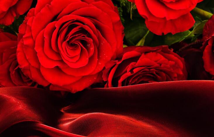 抖音说说文案一句话必赞2024