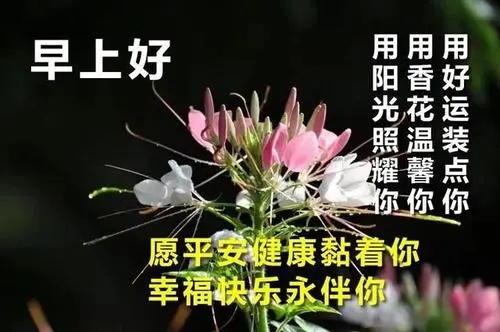 给情人的早安暖心语录文案
