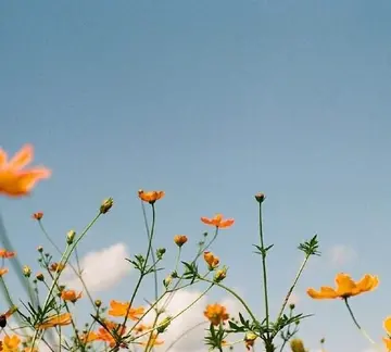 一句充满正能量的话