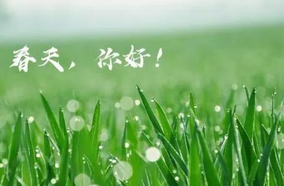 期待春天的唯美句子文案