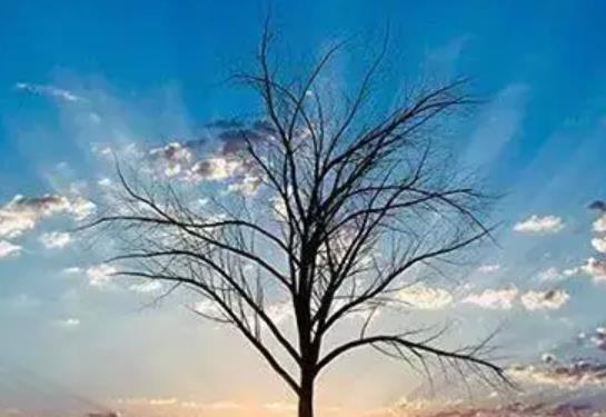 伤感霸气超拽的句子文案