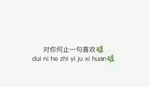 特别喜欢一个人的句子文案