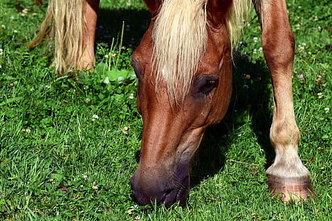 你是我今生最爱说说文案