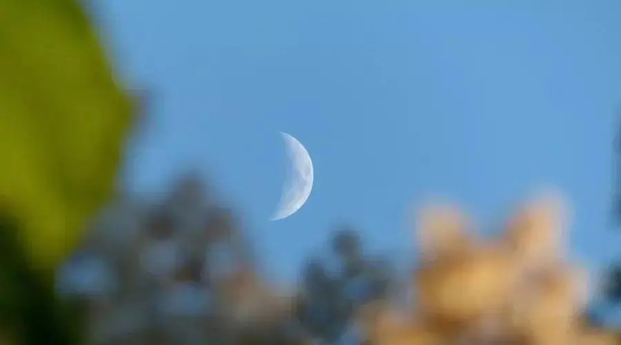 保护环境的古诗和名言