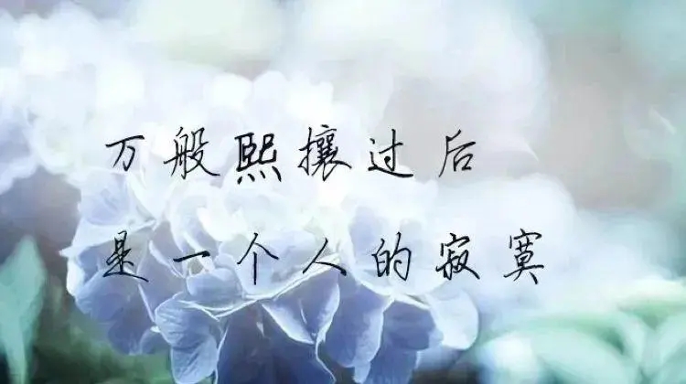 让女人看到心疼的句子文案