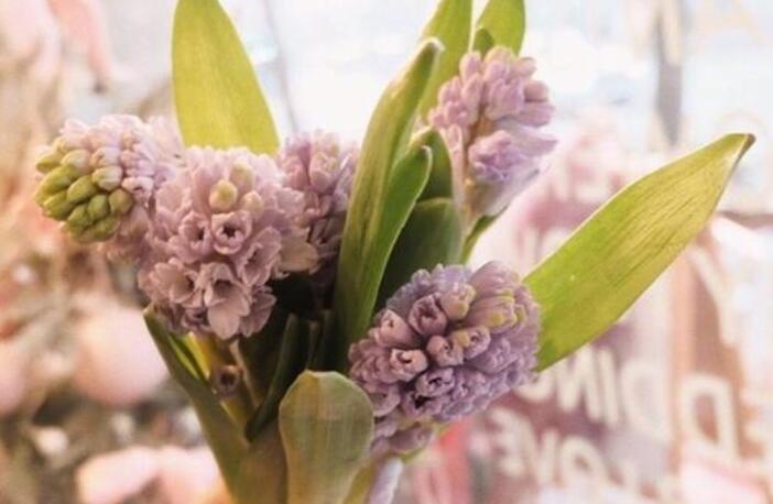 徐志摩最深情的一句话