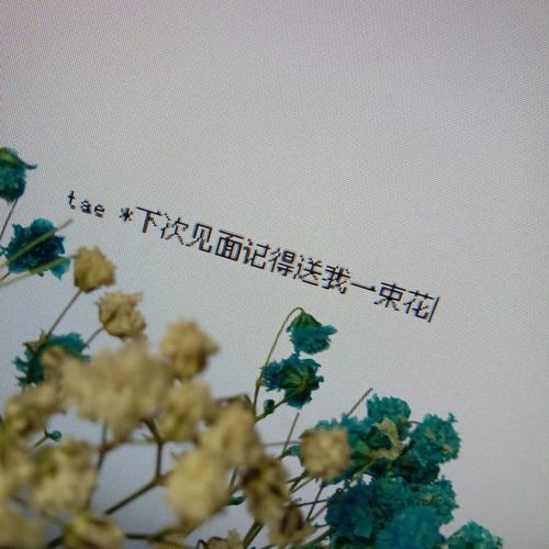 温柔干净阳光的文案