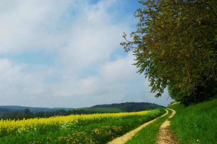 又狠又霸气的文案