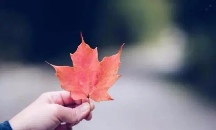 友谊相关的金句名言