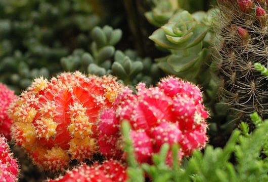 人生感悟爱情句子文案