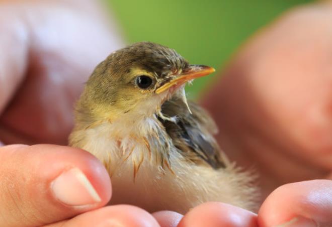 对孩子期望的美句