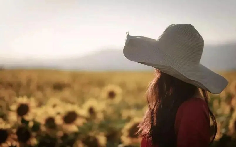 让自己静下心来的句子文案