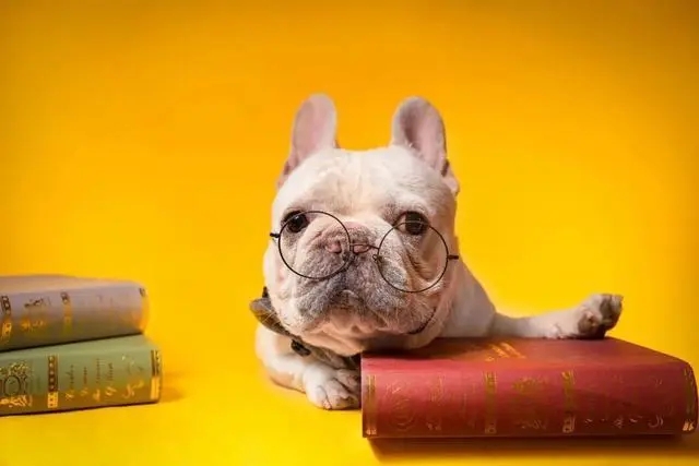 工作使我快乐搞笑句子文案