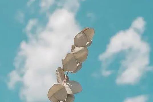 护士发表朋友圈的说说文案