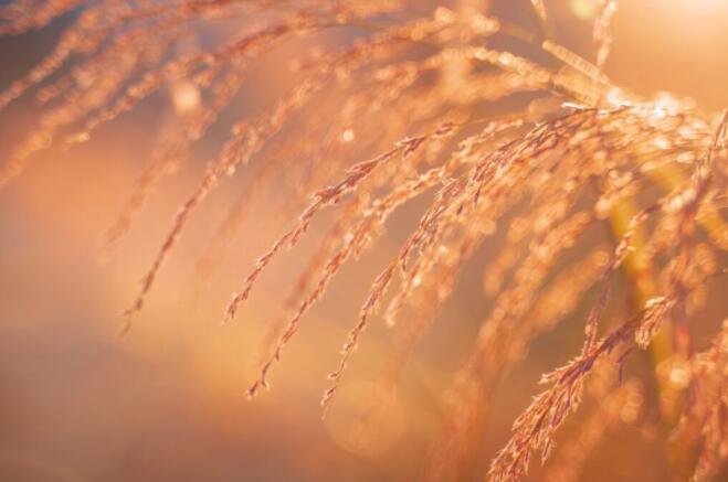 幽默幸福的短句