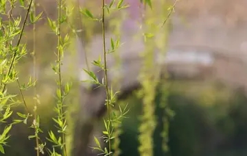 描写环境的好词好句文案