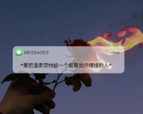 抖音上很火的情感语录文案