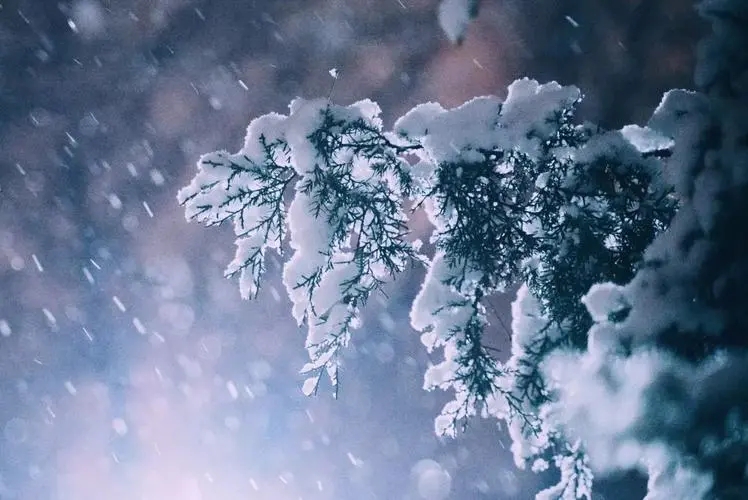 描写风的优美段落