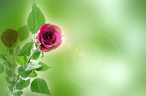 男人发誓的说说文案