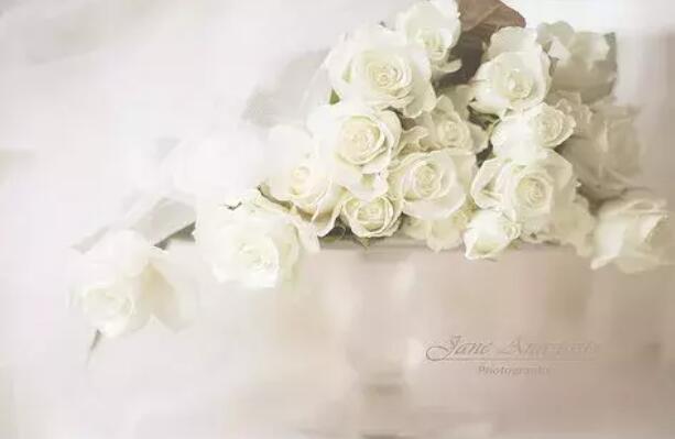 再回首的伤感句子文案